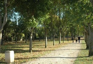 Voix verte sur le mail des Promenades
